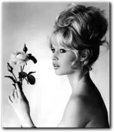 obraz-brigitte-bardot-z-roza-43x50-cm