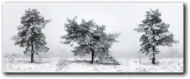 obraz-zima-120x47-cm