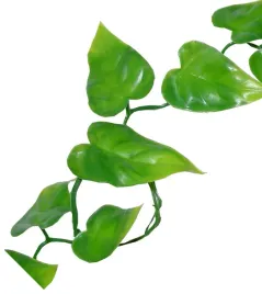 filodendron-200-cm-lucky-reptile