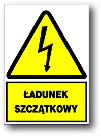 zeo-a-12-znak-elektryczny-15x21-ladunek-szczatkowy