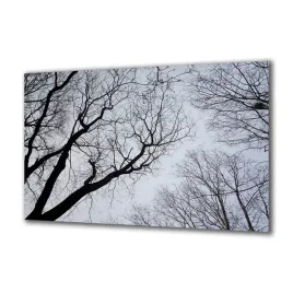 obraz-na-szkle-natura-86487414-100x50