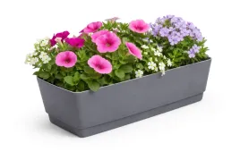 plastikowa-doniczka-na-kwiaty-rozsady-1szt-szara