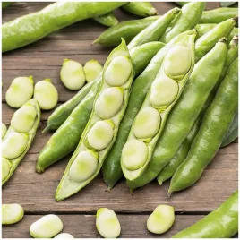 bob-windsor-bialy-pyszne-plenny-duze-straki-nasiona-500-g