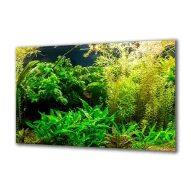 obraz-na-szkle-akwarystyka-80915462-140x70