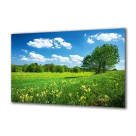 obraz-na-szkle-krajobrazy-gorskie-80781272-140x70
