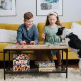 kotki-gra-planszowa-trefl-6-stan-nowy