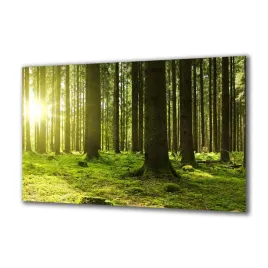obraz-na-szkle-natura-106127578-140x70