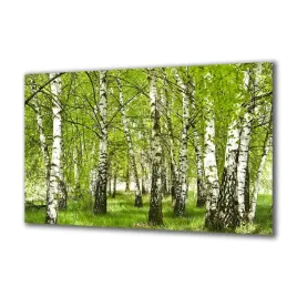 obraz-na-szkle-natura-110550393-140x70