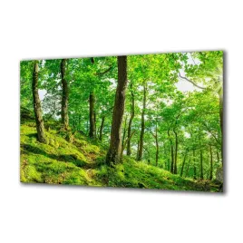 obraz-na-szkle-natura-113247041-140x70