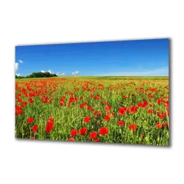 obraz-na-szkle-natura-113943000-140x70