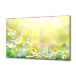 obraz-na-szkle-natura-115062064-140x70