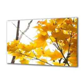obraz-na-szkle-natura-133777088-140x70