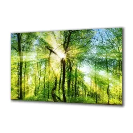 obraz-na-szkle-natura-138735020-140x70