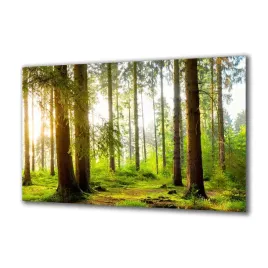 obraz-na-szkle-natura-140001205-140x70