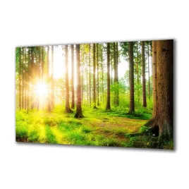 obraz-na-szkle-natura-177846037-140x70