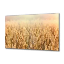 obraz-na-szkle-natura-209536369-140x70