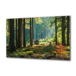 obraz-na-szkle-natura-222632647-140x70