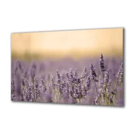 obraz-na-szkle-natura-44549879-140x70