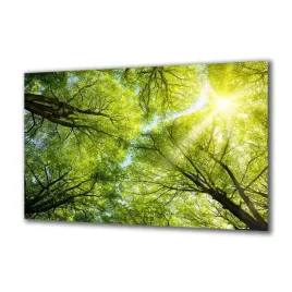 obraz-na-szkle-natura-49368465-140x70