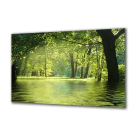 obraz-na-szkle-natura-50676803-140x70