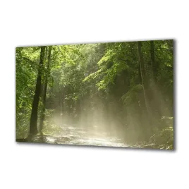 obraz-na-szkle-natura-53301829-140x70