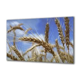 obraz-na-szkle-natura-54144-140x70