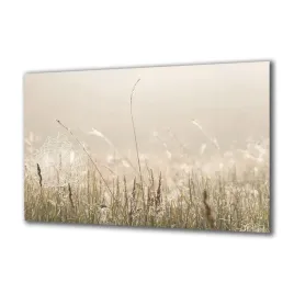 obraz-na-szkle-natura-54778725-140x70
