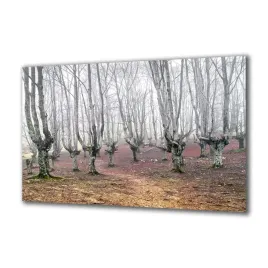 obraz-na-szkle-natura-58632335-140x70