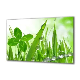 obraz-na-szkle-natura-60784567-140x70