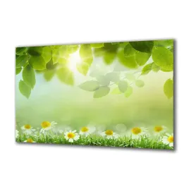 obraz-na-szkle-natura-63218930-140x70
