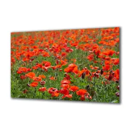 obraz-na-szkle-natura-67097946-140x70