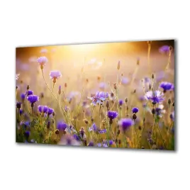 obraz-na-szkle-natura-70602610-140x70
