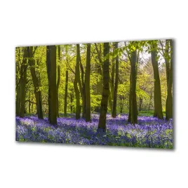 obraz-na-szkle-natura-82879966-140x70