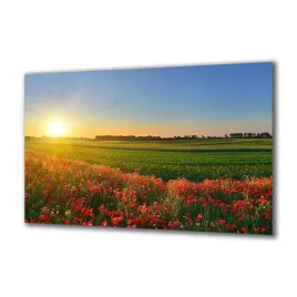 obraz-na-szkle-natura-85477995-140x70