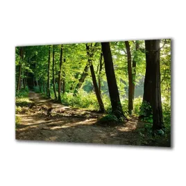 obraz-na-szkle-natura-89440501-140x70