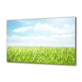 obraz-na-szkle-natura-8992674-140x70