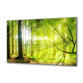 obraz-na-szkle-natura-93868389-140x70