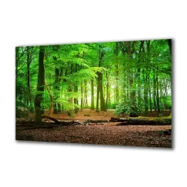 obraz-na-szkle-natura-104709683-140x70