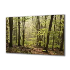 obraz-na-szkle-natura-109503342-140x70
