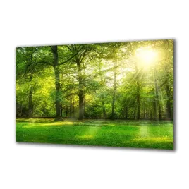 obraz-na-szkle-natura-110741782-140x70