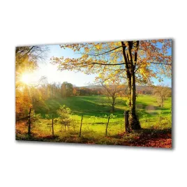 obraz-na-szkle-natura-119058776-140x70