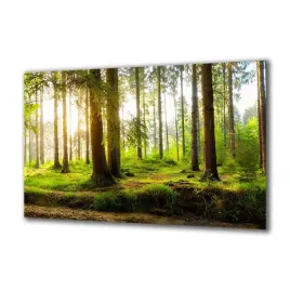 obraz-na-szkle-natura-121758441-140x70