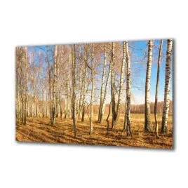 obraz-na-szkle-natura-138467713-140x70
