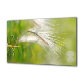 obraz-na-szkle-natura-15566438-140x70