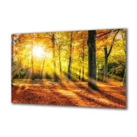 obraz-na-szkle-natura-169098286-140x70