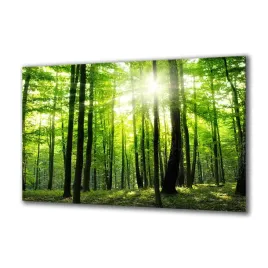 obraz-na-szkle-natura-196200752-140x70