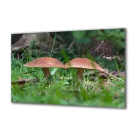 obraz-na-szkle-natura-218106497-140x70