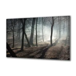 obraz-na-szkle-natura-22723079-140x70