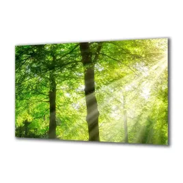 obraz-na-szkle-natura-249703814-140x70