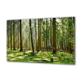 obraz-na-szkle-natura-295084721-140x70